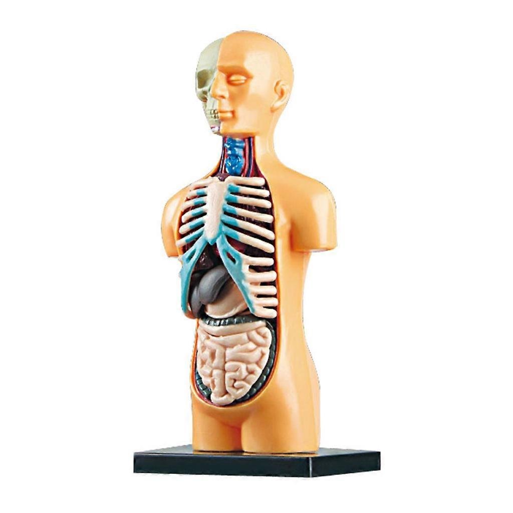 The Body Collective

